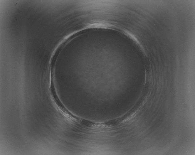 X0000074001323200608211404