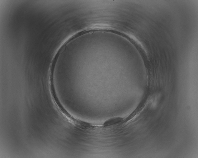 X0000074001325200608211404