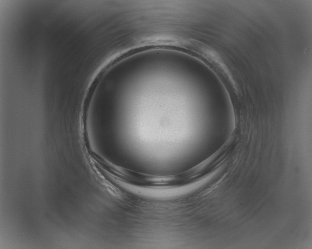 X0000074001328200608211404