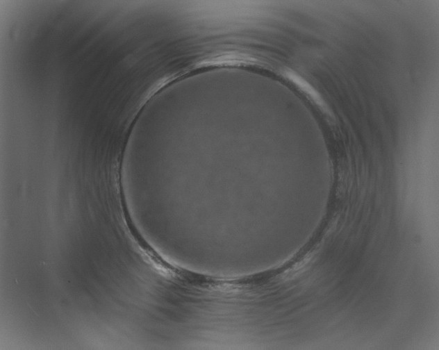 X0000074001329200608211404
