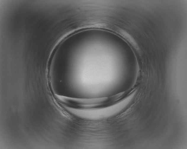 X0000074001332200608211404