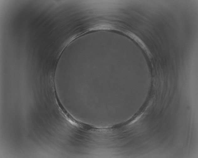X0000074001337200608211404