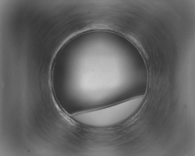 X0000074001342200608211404
