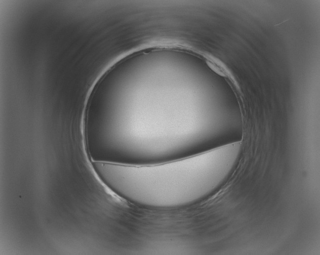 X0000074001343200608211404