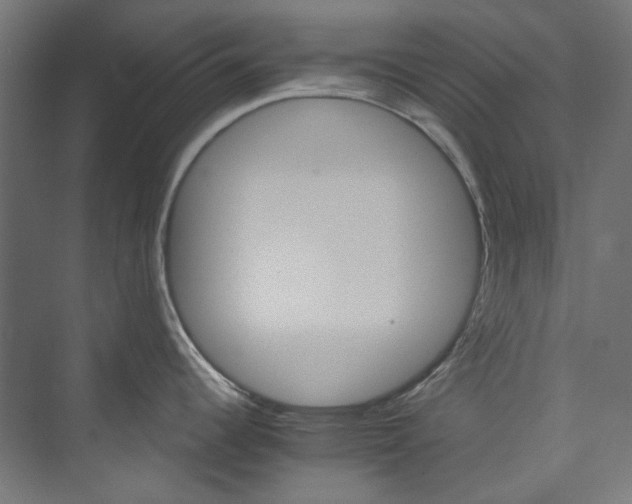 X0000074001344200608211404
