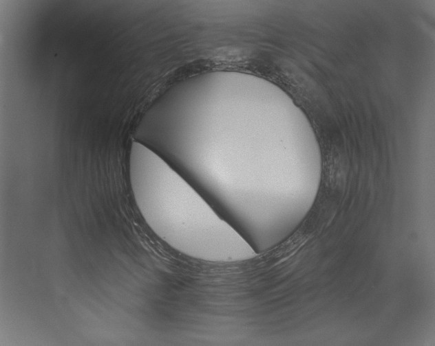 X0000074001346200608211403