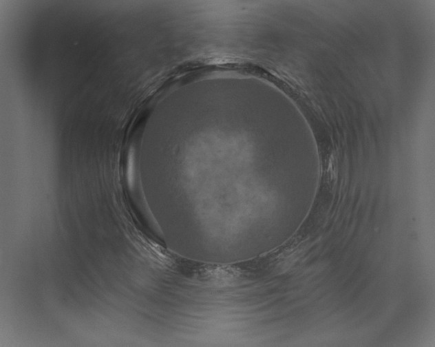 X0000074001348200608211403