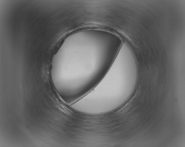 X0000074001355200608211403