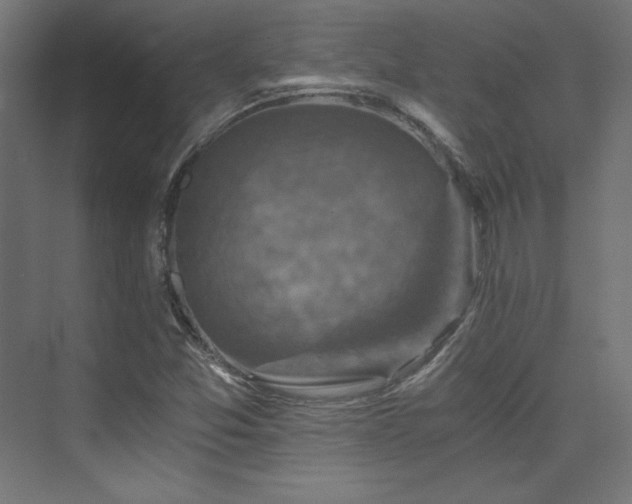 X0000074001357200608211403