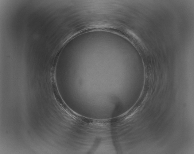 X0000074001361200608211403