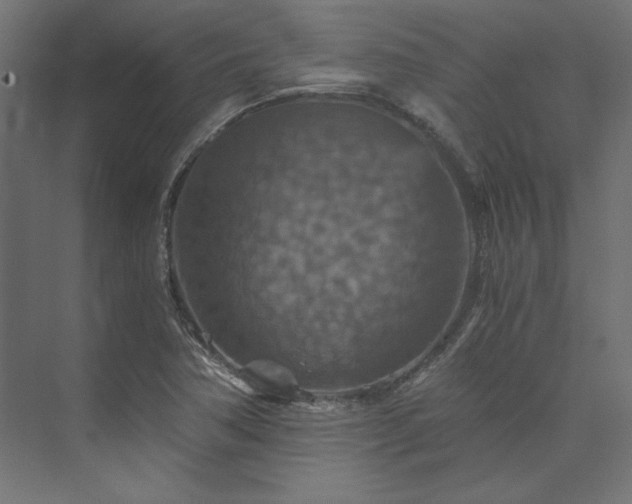 X0000074001362200608211403