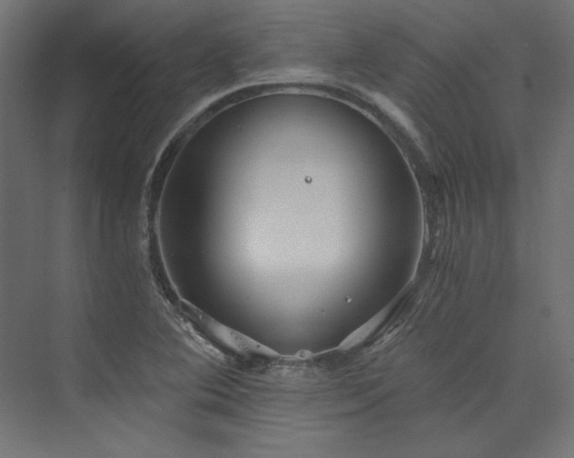 X0000074001364200608211403