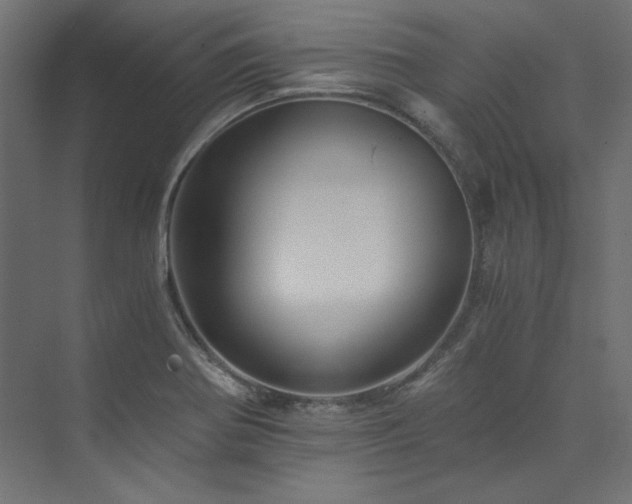 X0000074001370200608211403