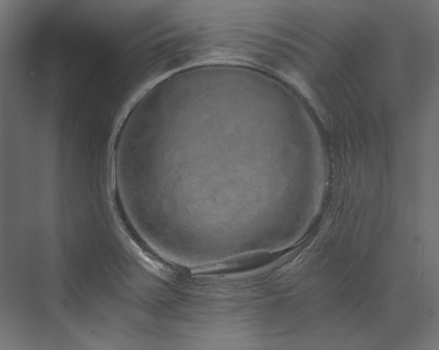 X0000074001371200608211403