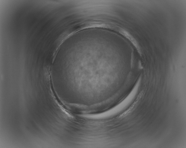 X0000074001377200608211403