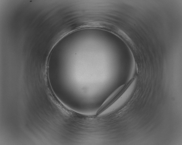 X0000074001378200608211403