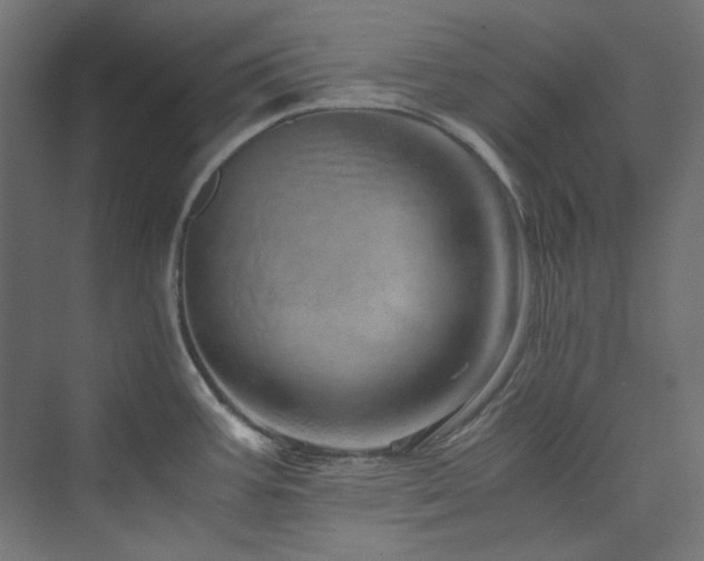 X0000074001387200608211402