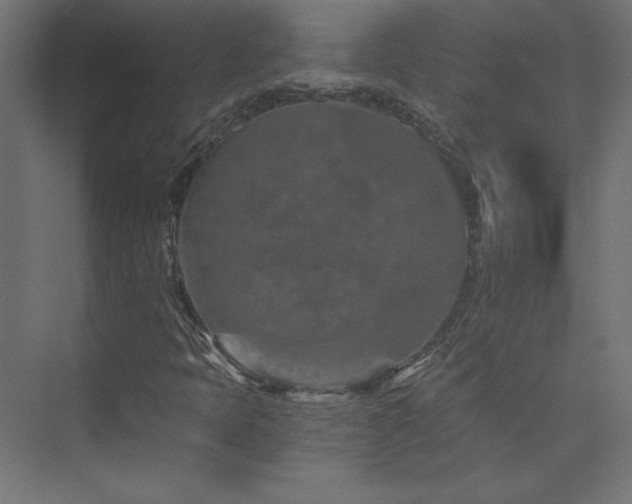 X0000074001397200608211402