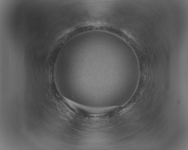 X0000074001398200608211402