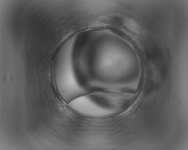 X0000074001401200608211402