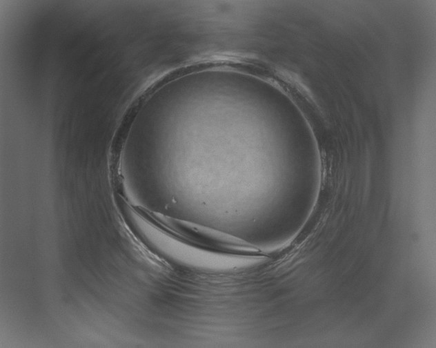X0000074001404200608211402