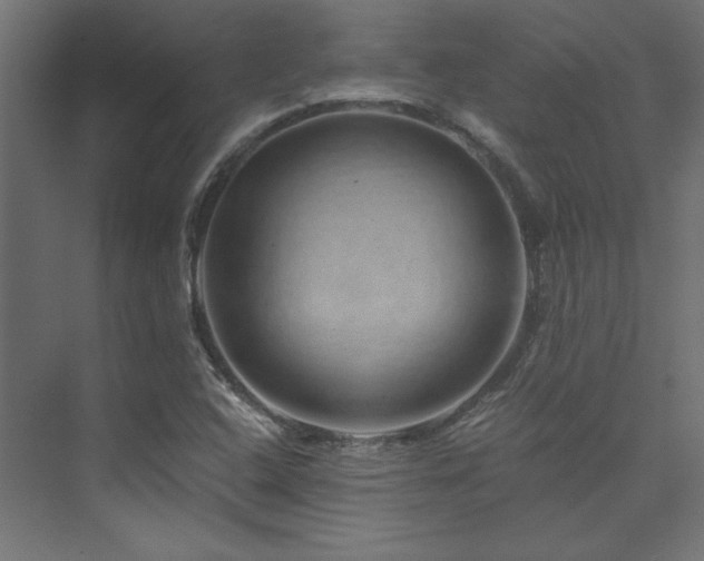 X0000074001408200608211402
