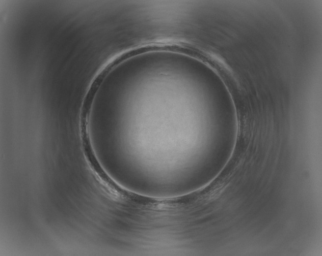 X0000074001412200608211402