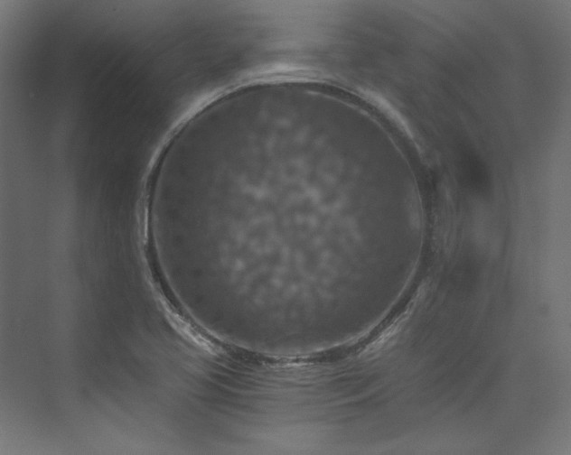 X0000074001413200608211402