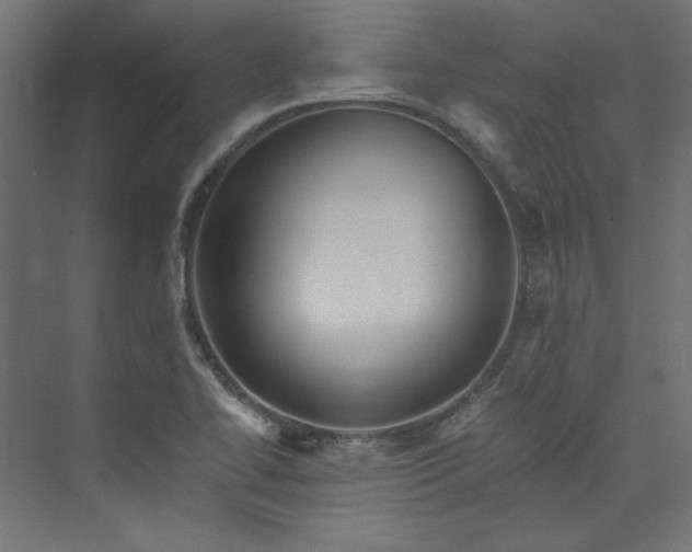X0000074001414200608211402