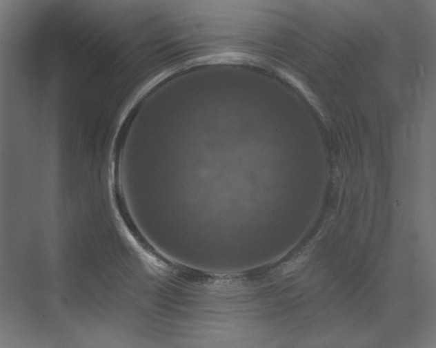 X0000074001418200608211402