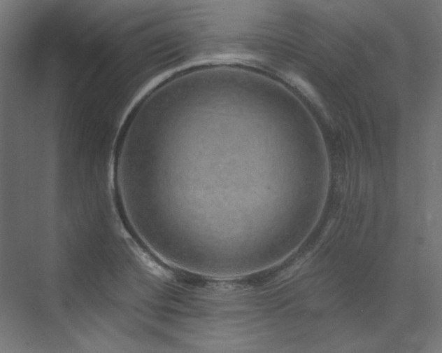 X0000074001420200608211402