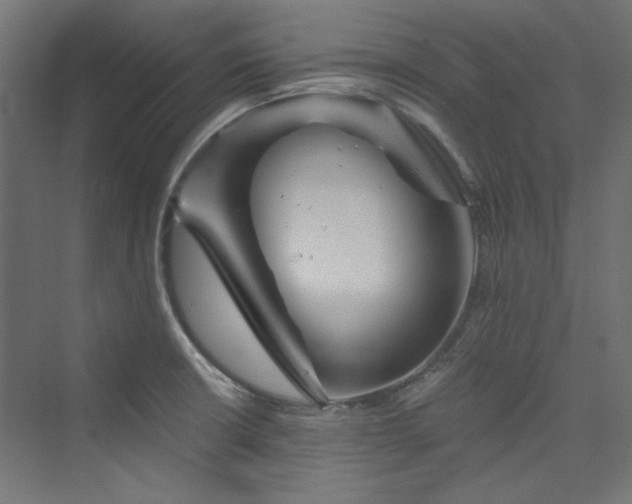 X0000074001426200608211402