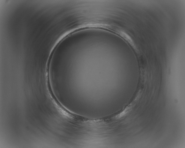 X0000074001428200608211402