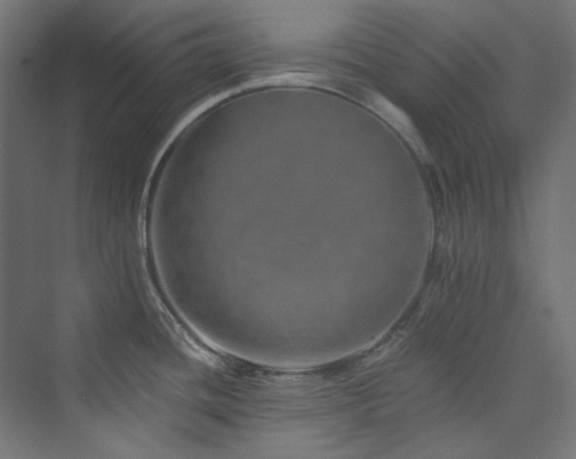 X0000074001436200608211402