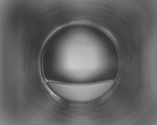 X0000074001438200608211402