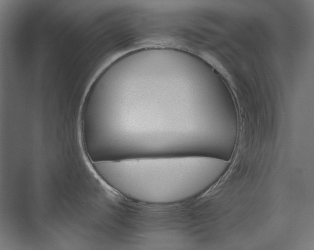 X0000074001440200608211402