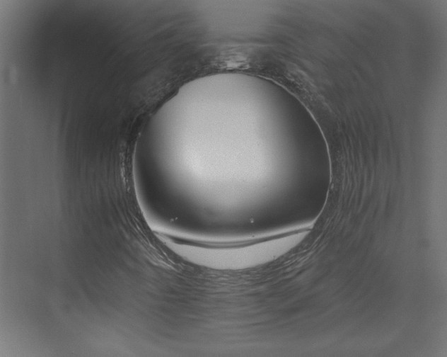 X0000074001442200608211401