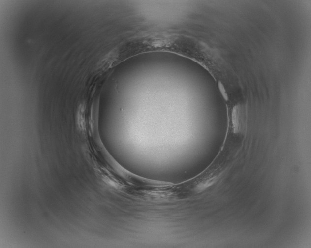 X0000074001443200608211401