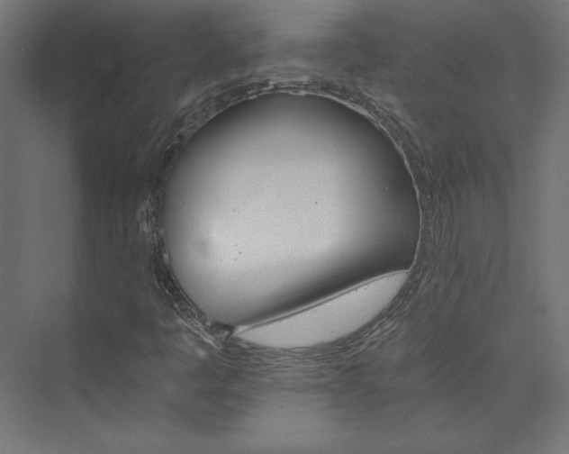 X0000074001445200608211401