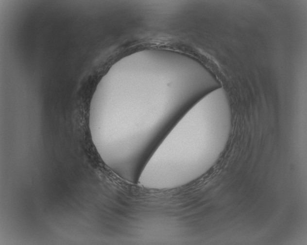 X0000074001447200608211401