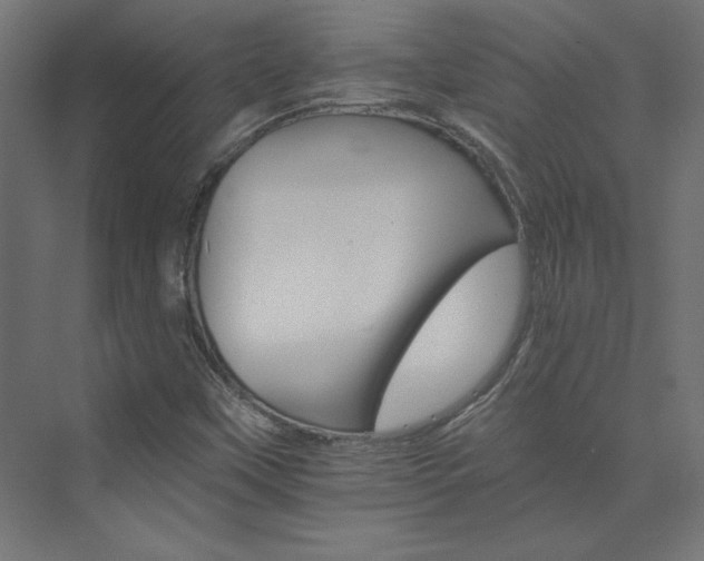 X0000074001451200608211401