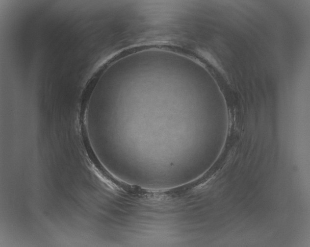 X0000074001452200608211401