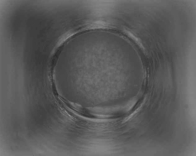 X0000074001453200608211401