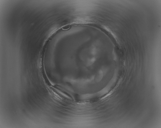 X0000074001459200608211401