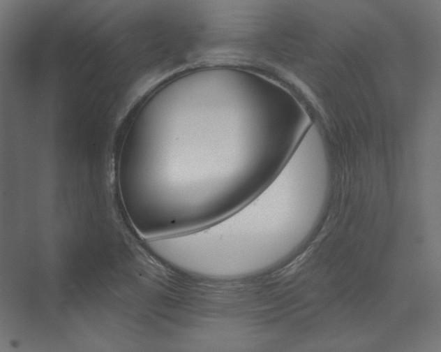 X0000074001461200608211401
