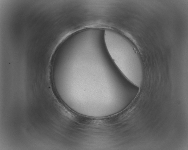 X0000074001463200608211401