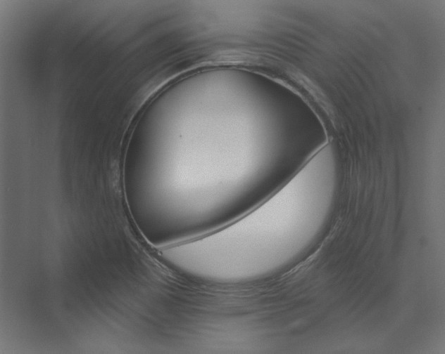 X0000074001465200608211401
