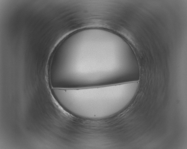 X0000074001468200608211401