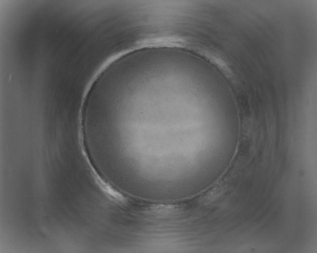 X0000074001470200608211401