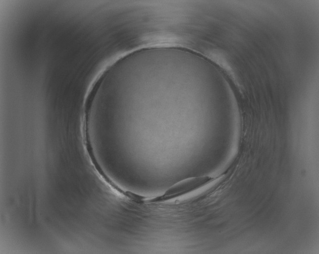 X0000074001472200608211401